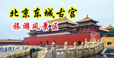 尤物玩弄骚屄中国北京-东城古宫旅游风景区