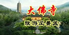 骚货黑丝美女免费网站在线观看中国浙江-新昌大佛寺旅游风景区